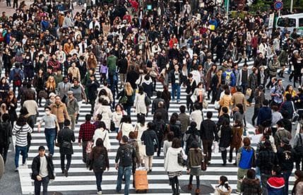 Who’s Buying Australian Shares – Why the Market Looks Strong