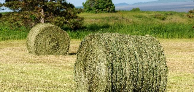 Calendar Spreads: Make Hay in the US Market Boom