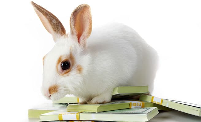 How to Make Money in the Stock Market During the Easter Break