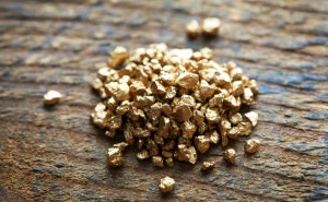 A pile of raw gold nuggets on a dark, rustic wooden surface.